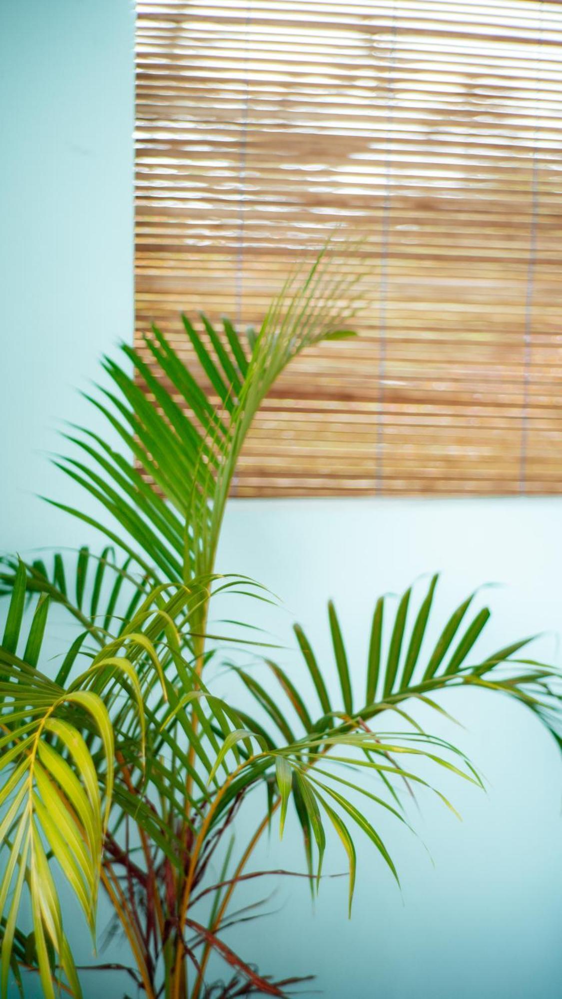 Blue Sky Homestay Kuta  Luaran gambar