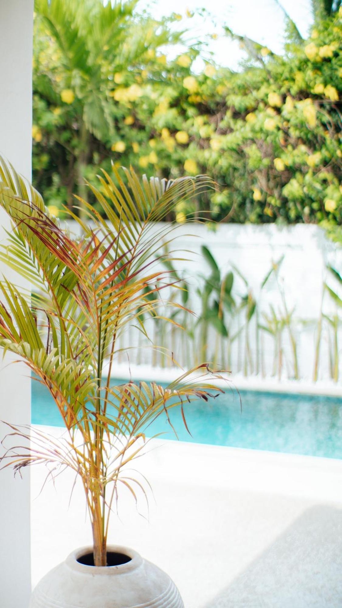 Blue Sky Homestay Kuta  Luaran gambar